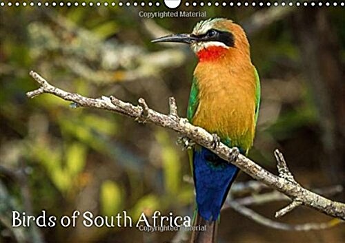 Birds of South Africa 2017 : Variety of Birds from South Africa (Calendar)