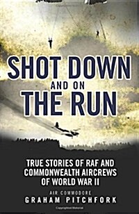 Shot Down and on the Run : True Stories of RAF and Commonwealth Aircrews of WWII (Paperback)