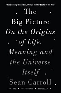 The Big Picture : On the Origins of Life, Meaning, and the Universe Itself (Paperback)