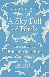 A Sky Full of Birds (Paperback)