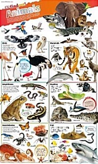 Dkfindout! Animals Poster (Wallchart)