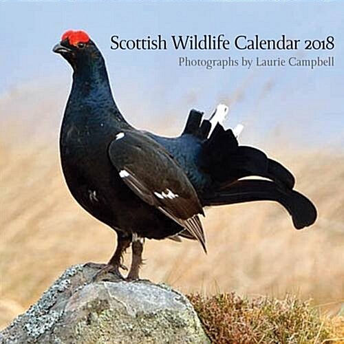 Scottish Wildlife Calendar 2018 (Calendar)