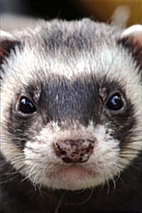 Look at That Face! Serious Ferret Pet Journal: 150 Page Lined Notebook/Diary (Paperback)