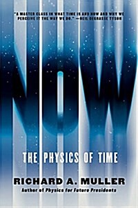 Now: The Physics of Time (Paperback)