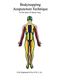 Bodymapping Acupuncture Technique: In the Spirit of Master Tung (Paperback)