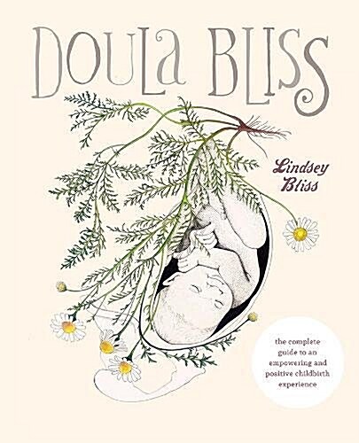 The Doulas Guide to Empowering Your Birth: A Complete Labor and Childbirth Companion for Parents to Be (Paperback)