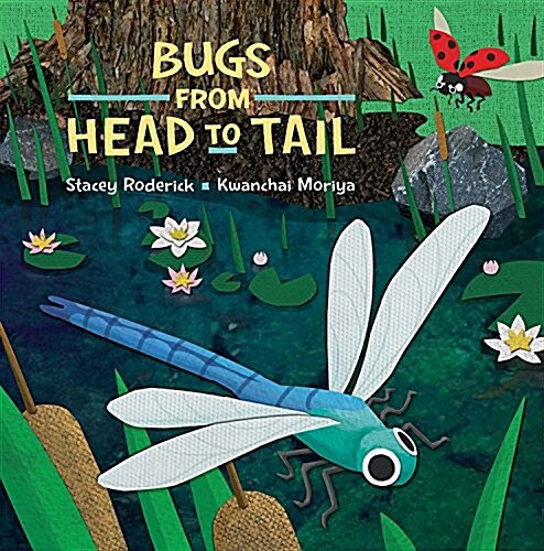Bugs from Head to Tail (Hardcover)