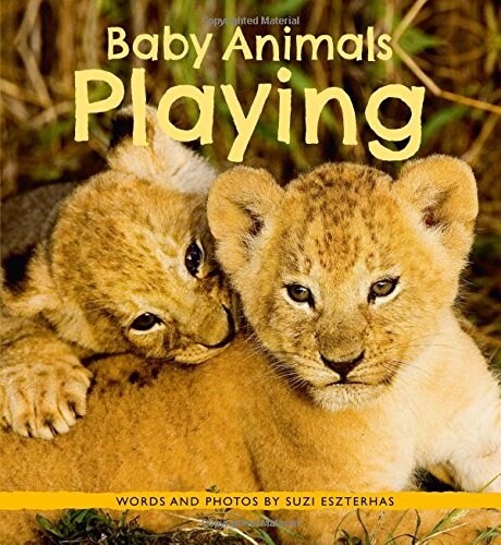 Baby Animals Playing (Hardcover)