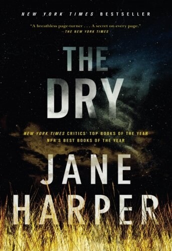 The Dry (Paperback)