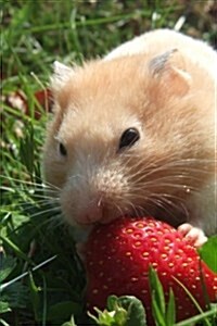 Golden Hamster Enjoying a Ripe Red Strawberry Journal: 150 Page Lined Notebook/Diary (Paperback)