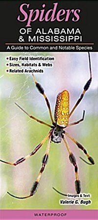 Spiders of Alabama & Mississippi: A Guide to Common & Notable Species (Loose Leaf)