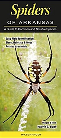 Spiders of Arkansas: A Guide to Common & Notable Species (Loose Leaf)