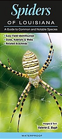 Spiders of Louisiana: A Guide to Common and Notable Species (Loose Leaf)