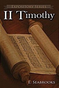 II Timothy: A Literary Commentary on Paul the Apostles Second Letter to Timothy (Paperback)