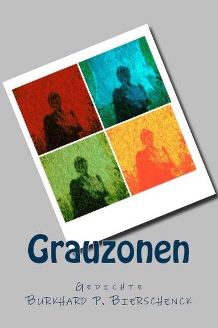 Grauzonen: Gedichte (Paperback)