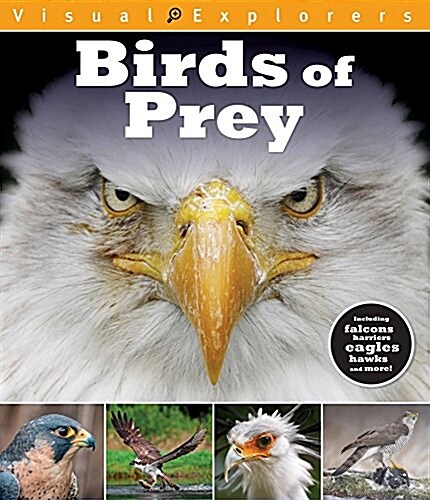 Birds of Prey (Paperback)