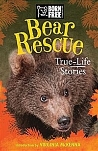 Bear Rescue: True-Life Stories (Paperback)