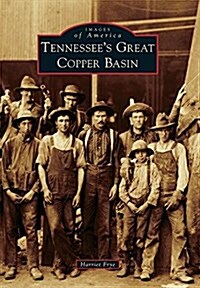 Tennessees Great Copper Basin (Paperback)