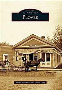Plover (Paperback)