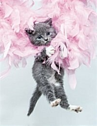 Blank Book Journal: Kitten Hanging in Pink Feather Boa Cover Notebook: 8.5 X 11 Size, 120 Gray Lined Pages, Wide Ruled! (Paperback)