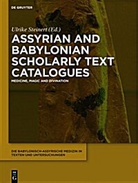 Assyrian and Babylonian Scholarly Text Catalogues: Medicine, Magic and Divination (Hardcover)