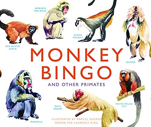 Monkey Bingo : And Other Primates (Cards)