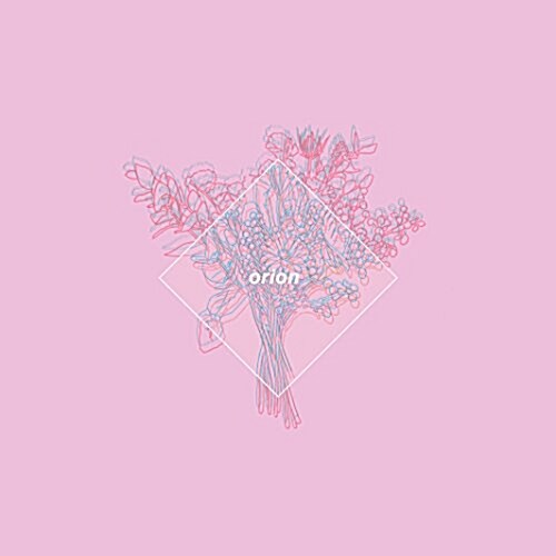 orion(オリオン槃 初回限定)(CD+クリアシ-ト+ハ-ドカバ-仕樣) (CD)