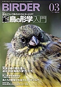 BIRDER(バ-ダ-)2017年3月號 新·鳥の形學入門 (雜誌, 月刊)