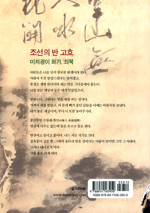 호생관 최북 : 임영태 장편소설
