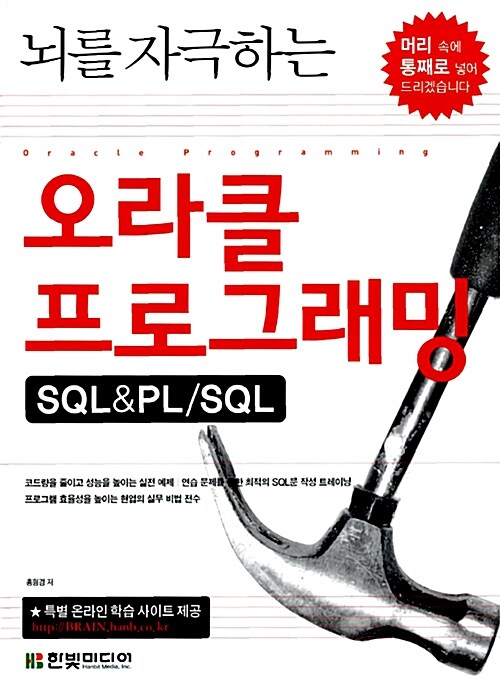 [중고] 뇌를 자극하는 오라클 프로그래밍 SQL&PL/SQL