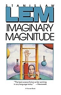 Imaginary Magnitude (Paperback)