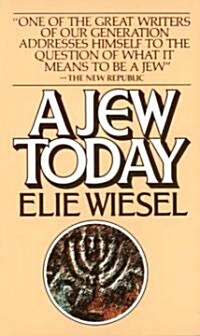 Jew Today (Paperback)