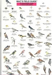 Macs Field Guides: Northwest Park & Backyard Birds (Other)