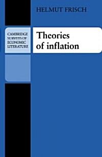 Theories of Inflation (Paperback)
