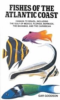 Fishes of the Atlantic Coast: Canada to Brazil, Including the Gulf of Mexico, Florida, Bermuda, the Bahamas, and the Caribbean (Paperback)