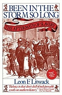 Been in the Storm So Long: The Aftermath of Slavery (Paperback)