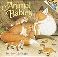 [중고] Animal Babies (Paperback)