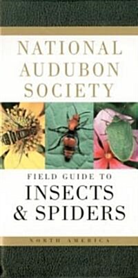 [중고] National Audubon Society Field Guide to Insects and Spiders: North America (Paperback)
