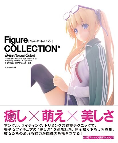 Figure COLLECTION*[フィギュアコレクション] (單行本(ソフトカバ-))