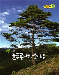 늘푸른나무, 소나무 