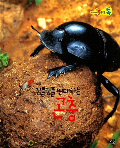 꿈틀꿈틀 변태하는 곤충