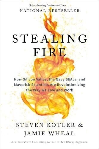 Stealing Fire: How Silicon Valley, the Navy Seals, and Maverick Scientists Are Revolutionizing the Way We Live and Work (Paperback)