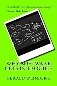 Why Software Gets in Trouble (Paperback)