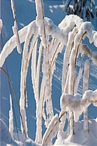 Journal Snow Covered Twigs: (Notebook, Diary, Blank Book) (Paperback)