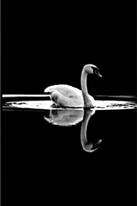 Journal Swan Lake Black White Photography: (Notebook, Diary, Blank Book) (Paperback)