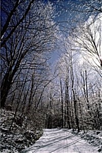 Journal Snowy Winter Path: (Notebook, Diary, Blank Book) (Paperback)