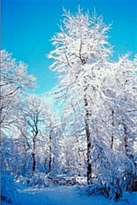 Journal Snowy Forest: (Notebook, Diary, Blank Book) (Paperback)