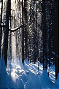 Journal Sun on Snow in Forest: (Notebook, Diary, Blank Book) (Paperback)