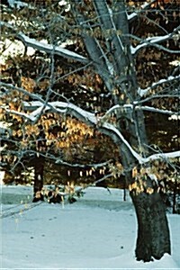 Journal Snowy Winter Tree: (Notebook, Diary, Blank Book) (Paperback)