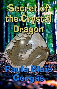 Secret of the Crystal Dragon (Paperback)